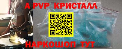 сатива Кингисепп