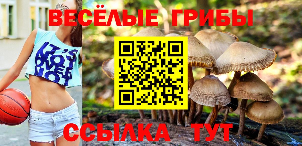 Галлюциногенные грибы Magic Shrooms Комсомольск-на-Амуре